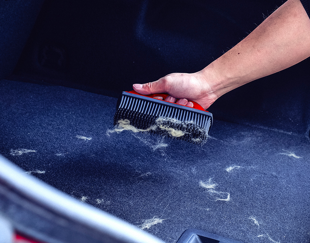 Carpet hair removal brush - MaxShine